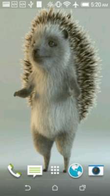 Play Hedgehog 3D Video LWP 