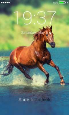 Play Horse Lock Screen Pro 