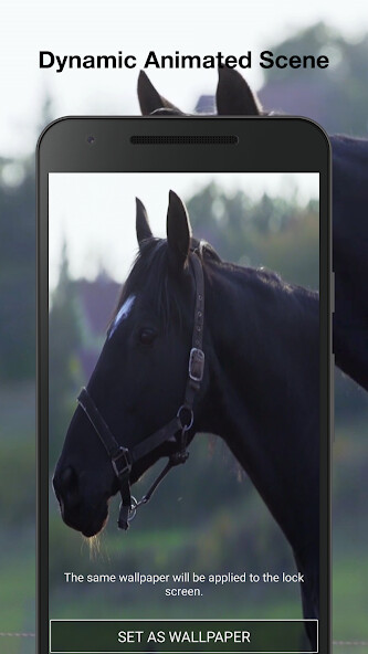 Play Horses Live Wallpaper 