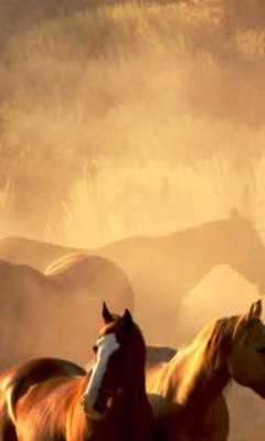 Play Horses Themes Live 