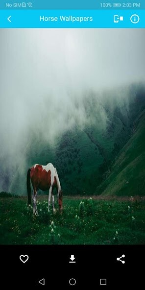Play Horse wallpaper 