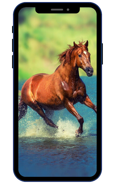 Play APK Horse Wallpapers  and enjoy Horse Wallpapers with UptoPlay com.zexica.app.horse.wallpapers