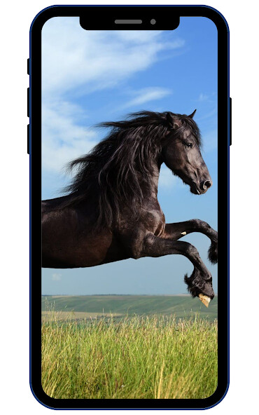 Play APK Horse Wallpapers  and enjoy Horse Wallpapers with UptoPlay com.zexica.app.horse.wallpapers