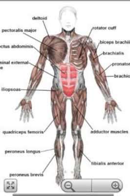 Play Human Anatomy Pro Play Human Anatomy Pro