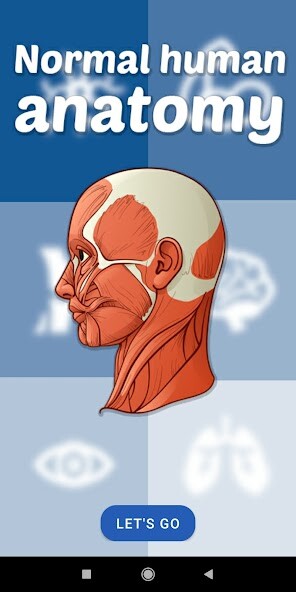 Play Human Anatomy Play Human Anatomy