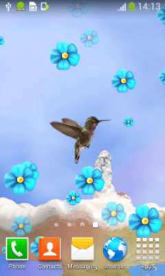 Play Hummingbird Live Wallpapers 