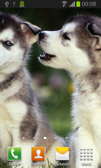Play APK Husky Live Wallpaper  and enjoy Husky Live Wallpaper with UptoPlay com.HuskyLiveWallpaper