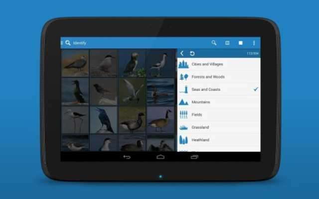 Play iKnow Birds 2 PRO Play iKnow Birds 2 PRO