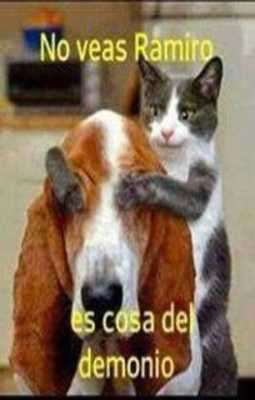 Play Imágenes memes 