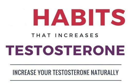 Play APK Increase your Testosterone  and enjoy Increase your Testosterone with UptoPlay com.JuBat.increaseyourtestosterone