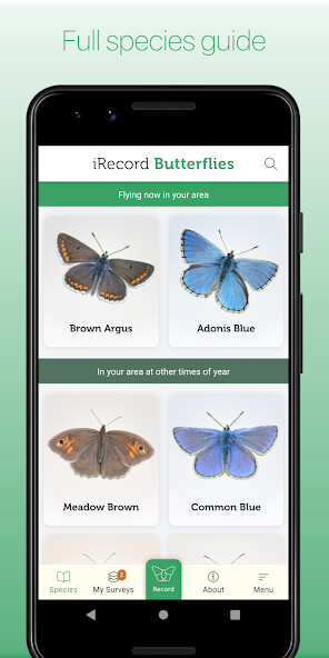 Play APK iRecord Butterflies  and enjoy iRecord Butterflies with UptoPlay com.natural_apptitude.butterfly