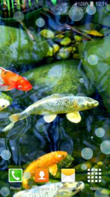 Play Japan Beauty Live Wallpapers Play Japan Beauty Live Wallpapers