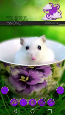 Play Jomarie Goldpurple  Play Jomarie Goldpurple