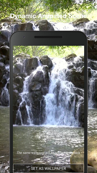 Play Jungle Live Wallpaper 
