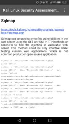 Play Kali Linux Security Assessments Lite 