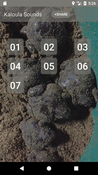 Play APK Kaloula Call Sounds  and enjoy Kaloula Call Sounds with UptoPlay com.sounds.Kaloula