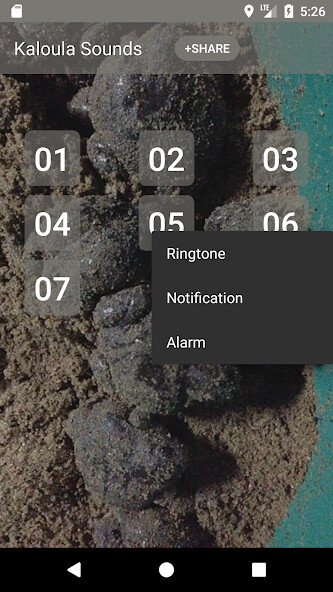 Play APK Kaloula Call Sounds  and enjoy Kaloula Call Sounds with UptoPlay com.sounds.Kaloula
