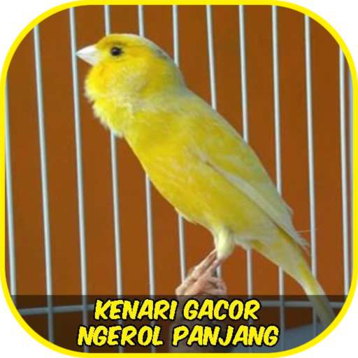 Play APK Kenari Ngerol Panjang  and enjoy Kenari Ngerol Panjang with UptoPlay com.restubunda.kenari.ngerol.panjang