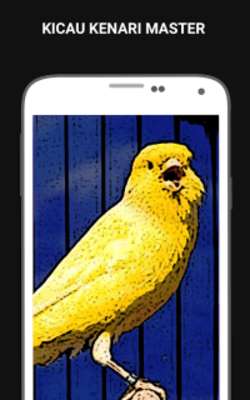 Play Kicau Burung Kenari Master 