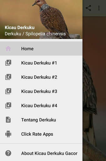 Play APK Kicau Derkuku Gacor Manggung  and enjoy Kicau Derkuku Gacor Manggung with UptoPlay com.octopus.inc.kicau.derkuku.gacor.manggung