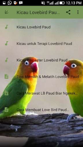 Play APK Kicau Lovebird Paud Juara  and enjoy Kicau Lovebird Paud Juara with UptoPlay com.jehova.kicaulovebirdpaudjuara