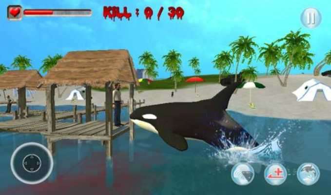 Play Killer Whale Simulator 3D Play Killer Whale Simulator 3D