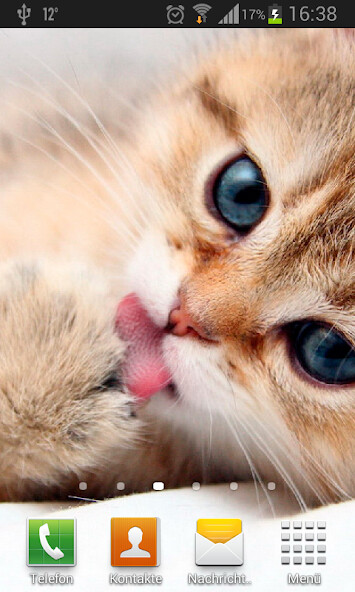 Play Kittens Live Wallpaper 