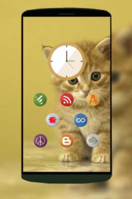 Play Kittens Wallpapers HD Free 
