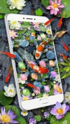 Play Koi Fish Aquarium 3D Theme 