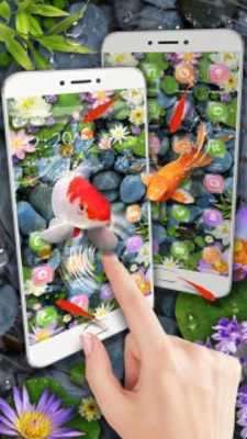 Play Koi Fish Aquarium 3D Theme 