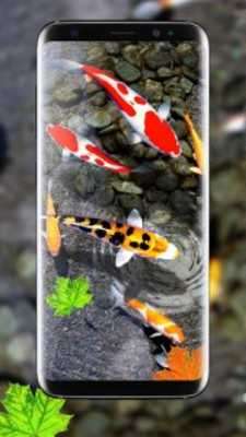 Play Koi Fish Aquarium Wallpaper : 3D Theme Backgrounds Play Koi Fish Aquarium Wallpaper : 3D Theme Backgrounds