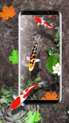 Play Koi Fish Aquarium Wallpaper : 3D Theme Backgrounds Play Koi Fish Aquarium Wallpaper : 3D Theme Backgrounds