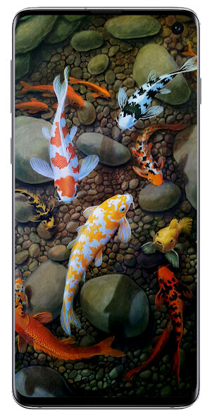 Play Koi Fish Live Wallpapers 