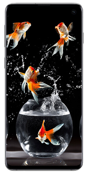Play Koi Fish Live Wallpapers 