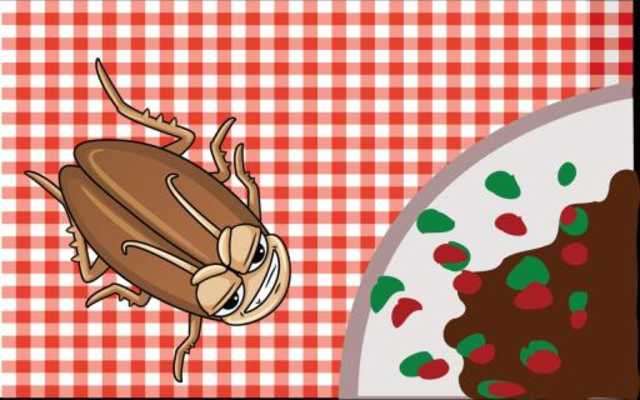 Play La Cucaracha 2 Play La Cucaracha 2
