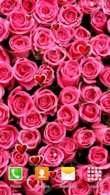 Play Latest Rose Live Wallpapers Play Latest Rose Live Wallpapers