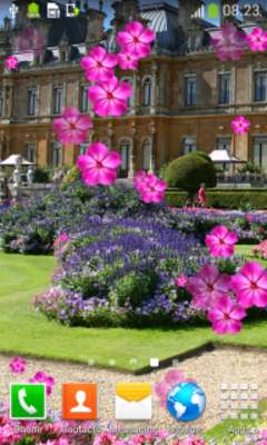 Play Lavender Field Live Wallpapers 