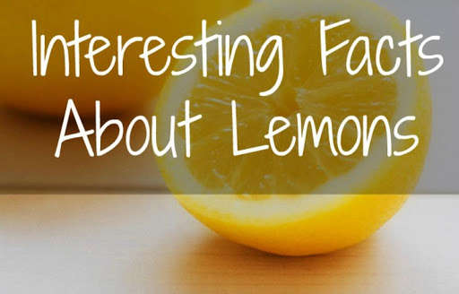 Play APK Lemons Uses and Benefits  and enjoy Lemons Uses and Benefits with UptoPlay com.JuBat.lemonusesandbenefits