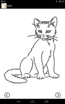 Play Lets Draw Cats and Dogs 