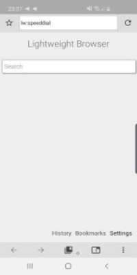 Play Lightweight Browser 