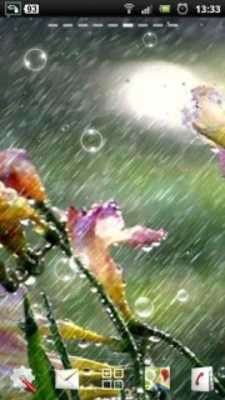 Play live rain wallpaper 