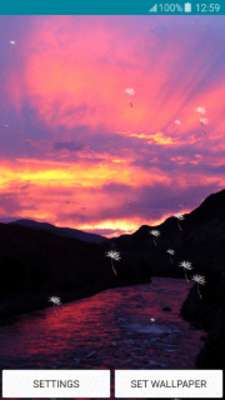 Play Live Wallpapers Violet Sunsets 