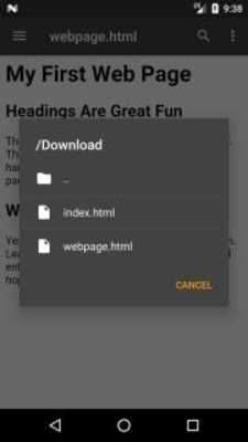 Play Local HTML Viewer 