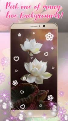 Play Lotus Flower Theme Live Wallpaper App Play Lotus Flower Theme Live Wallpaper App