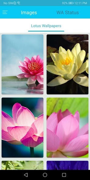 Play Lotus Flower Wallpapers 