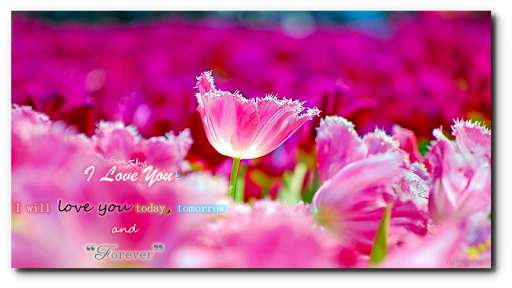 Play Love and Romance Quotes & Wishes Messages and enjoy Love and Romance Quotes & Wishes Messages with UptoPlay Play Love and Romance Quotes & Wishes Messages and enjoy Love and Romance Quotes & Wishes Messages with UptoPlay