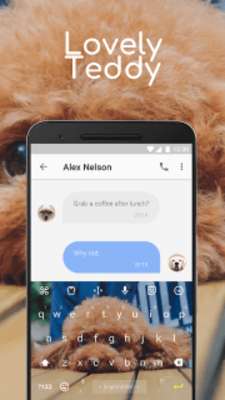 Play Lovely Teddy Emoji Keyboard Theme for Snapchat 