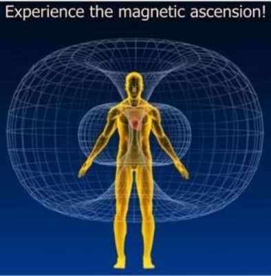 Play Magnetic Pulsator Live Wallpaper - Premium version Play Magnetic Pulsator Live Wallpaper - Premium version
