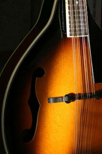 Play APK Mandolin Lessons  and enjoy Mandolin Lessons with UptoPlay com.musicalinstruments.mandolin.lessons