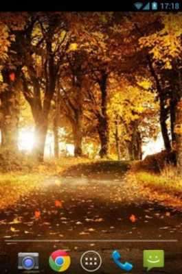 Play Maple Leaves Live Wallpaper 